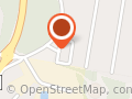 Wildflower faces