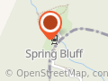 Spring Bluff Railway Station