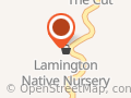 Lamington Native Nursery