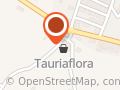 Tauriaflora Snc