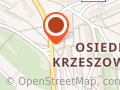Pietrasz Ryszard. Malowanie