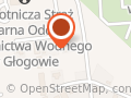 Czyszczenie dywanów , pranie tapicerki Mobile Wash
