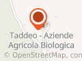 Taddeo Carmela Teresa Ersil