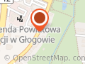 Miedziowe Stowarzyszenie Przedsiębiorczości