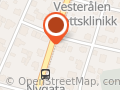 Erna Borgen Blomsterforretning og Begravelsesbyra AS