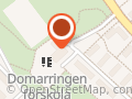 Domarringen