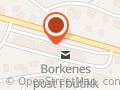 Joker Borkenes