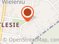 AdamPol Usługi Informatyczne
