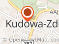 PZU Ubezpieczenia Kudowa-Zdrój - Agent Andrzej Cegielski