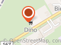 Market Dino