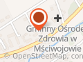 Apteka Pod Jaworem. Cichoń Joanna