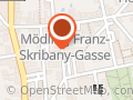 Radical - Luggage Storage Franz Skribany - Gasse - Mdling