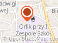 Orlik Staszic