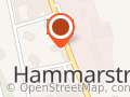 Hammarstrands Blomsterhandel AB