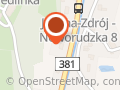 Fundacja Dzika Nadzieja