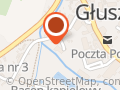 Klincewicz Eldonia Usługi Rtg
