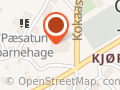 Den norske Kirke