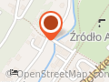 Pod Zielonym Kogutem