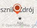 PZU Ubezpieczenia Duszniki-Zdrój - Agent Dariusz Zdrolik
