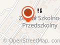 PZU S.A. Agent Ubezpieczeniowy Zbigniew Napiórkowski