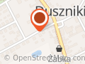 BLACHARSTWO LAKIERNICTWO LECH LESZCZYŃSKI