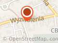 Ubezpieczenia INSUR Invest Opalenica