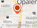 Kebab Tigris 21 Opalenica