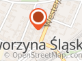 Ptak Stanisław. Usługi transportowe
