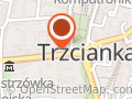 Śnieżynka