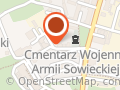 Zielono Mi. Projektowanie i wykonawstwo terenów zieleni. Handzlik M.B.