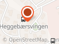 Scandi Sport ANS