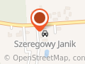 FIRMA OGRODNICZA LIGUSTR Bartłomiej Janik
