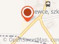 Koza Ewa, Ireneusz. Transport Ciężarowy SC