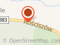 USŁUGI LEŚNE Ryszard Gonet