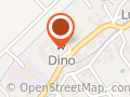 Market Dino