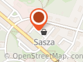 FIRMA HANDLOWO USŁUGOWA SASZA