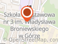 Danler Daniel Wołowicz