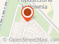 Biedna Halina. Centrum dekoracji i kwiatów