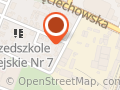 Kozłowski Tadeusz. Nauka jazdy