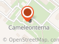 Cameleonterna