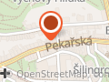 Leila Kolkop Art
