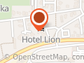 Hotel Lion