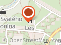 Restaurace & Pub Les