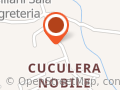 Coiffeur RINO