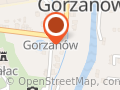Naprawa Samochodów. Janusz Wielki.