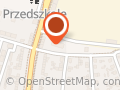 Technika dentystyczna, usługi protetyczne