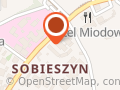 Honey Sushi Dzierżoniów