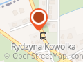 Rydzynianka