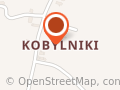 Szkoła Podstawowa im. Fryderyka Chopina w Kobylnikach