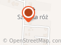 Szkółka Krzewów Ozdobnych i Róż. G. Z. Borowiak i Synowie